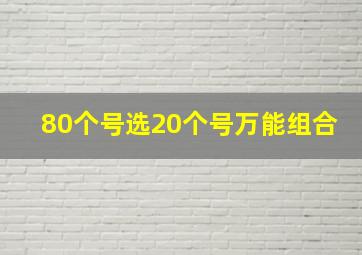 80个号选20个号万能组合