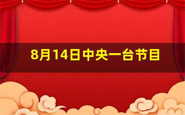 8月14日中央一台节目