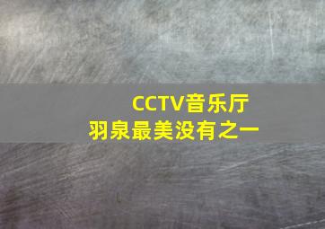 CCTV音乐厅羽泉最美没有之一