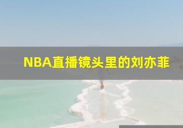 NBA直播镜头里的刘亦菲