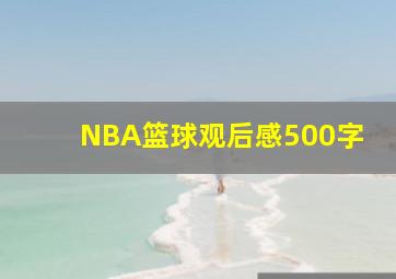 NBA篮球观后感500字