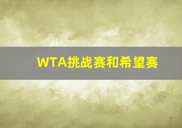 WTA挑战赛和希望赛