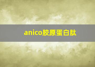 anico胶原蛋白肽