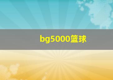 bg5000篮球