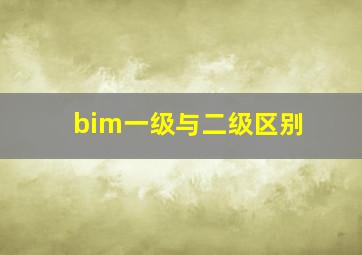 bim一级与二级区别