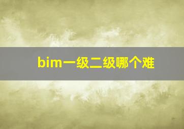 bim一级二级哪个难