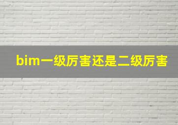 bim一级厉害还是二级厉害