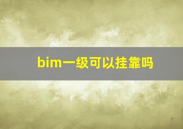 bim一级可以挂靠吗