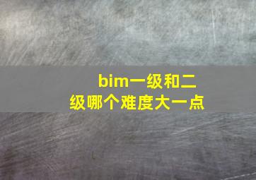 bim一级和二级哪个难度大一点