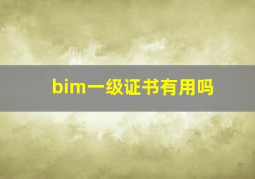 bim一级证书有用吗