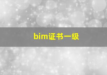 bim证书一级