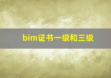 bim证书一级和三级