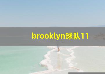 brooklyn球队11