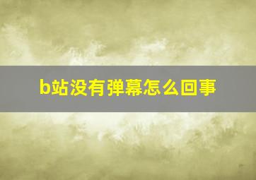 b站没有弹幕怎么回事