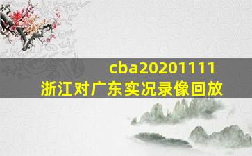 cba20201111浙江对广东实况录像回放