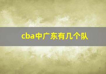 cba中广东有几个队