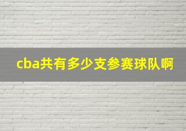 cba共有多少支参赛球队啊