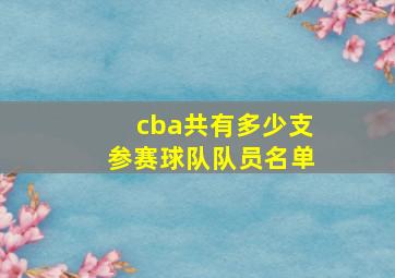 cba共有多少支参赛球队队员名单