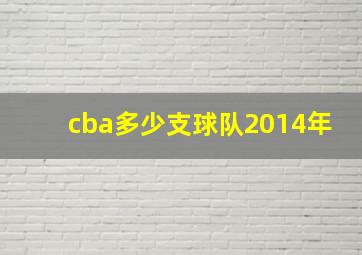 cba多少支球队2014年