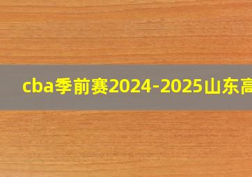 cba季前赛2024-2025山东高速