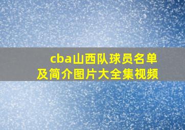 cba山西队球员名单及简介图片大全集视频