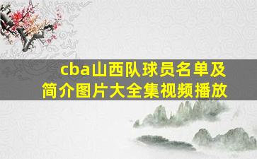 cba山西队球员名单及简介图片大全集视频播放