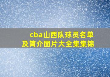 cba山西队球员名单及简介图片大全集集锦