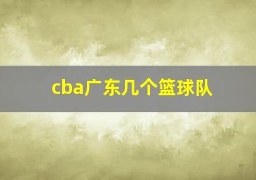 cba广东几个篮球队