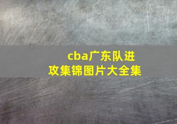 cba广东队进攻集锦图片大全集