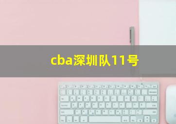 cba深圳队11号