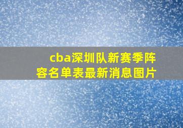 cba深圳队新赛季阵容名单表最新消息图片