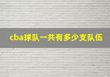 cba球队一共有多少支队伍