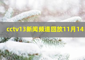 cctv13新闻频道回放11月14日