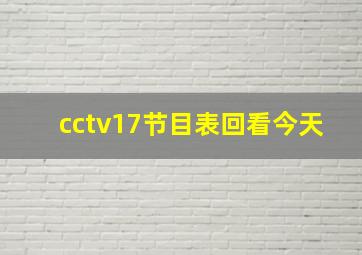 cctv17节目表回看今天