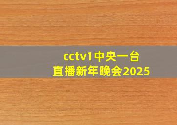 cctv1中央一台直播新年晚会2025