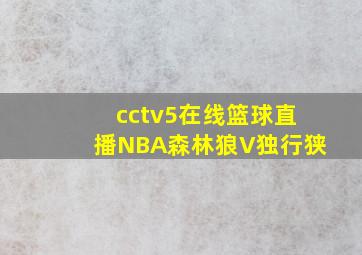 cctv5在线篮球直播NBA森林狼V独行狭