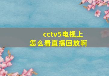 cctv5电视上怎么看直播回放啊