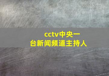 cctv中央一台新闻频道主持人