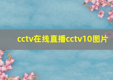 cctv在线直播cctv10图片