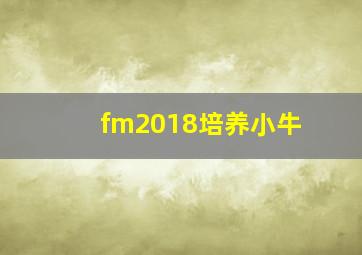 fm2018培养小牛