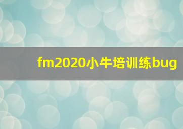 fm2020小牛培训练bug