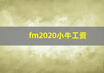 fm2020小牛工资