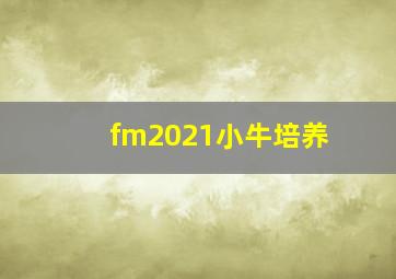 fm2021小牛培养