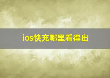 ios快充哪里看得出