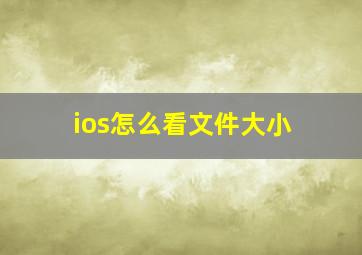 ios怎么看文件大小