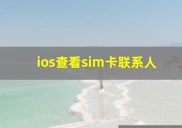 ios查看sim卡联系人