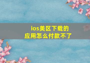 ios美区下载的应用怎么付款不了