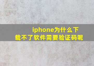 iphone为什么下载不了软件需要验证码呢