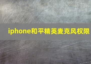 iphone和平精英麦克风权限