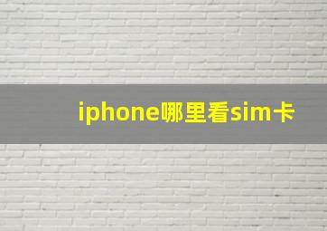 iphone哪里看sim卡